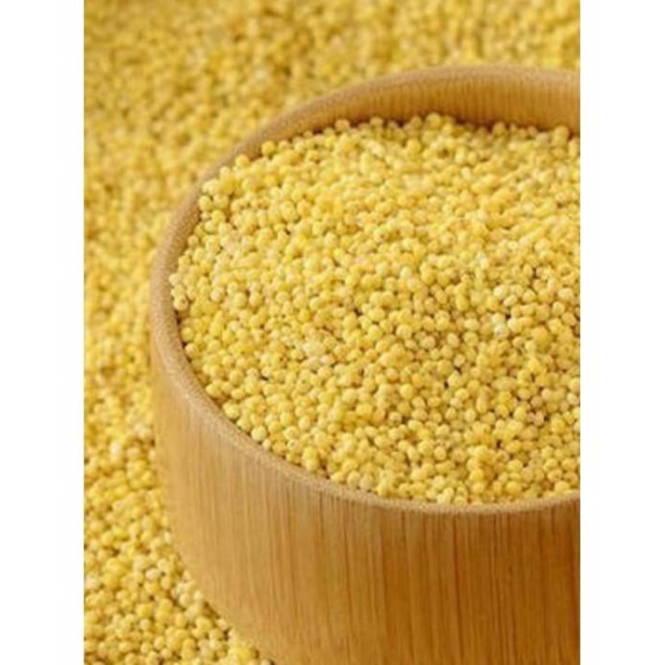 Shree Krishna Barnyard Millet- Polished 1kg